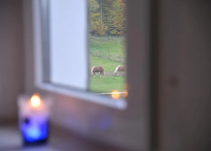 Schadler Appartement Windeck